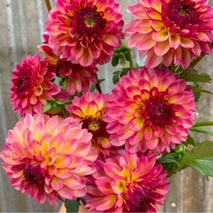 REBUNDLE for @blackbetty2004